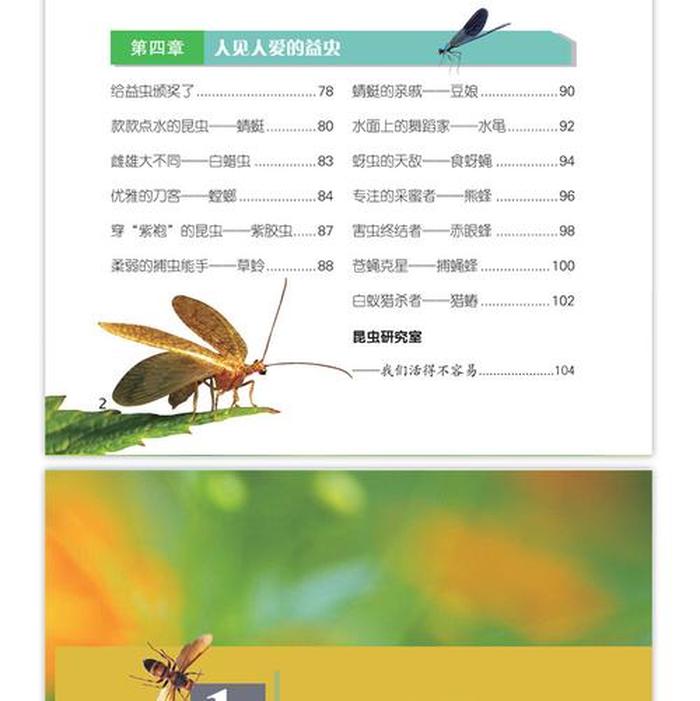 少儿百科全书知识点 少儿百科讲的是什么内容