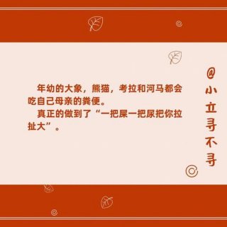 奇葩冷知识；稀奇古怪的冷知识