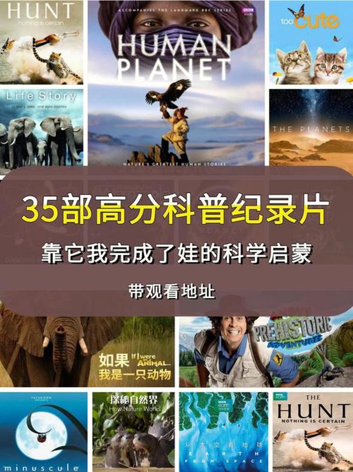 科普科学类视频 - 科学纪录片有哪些