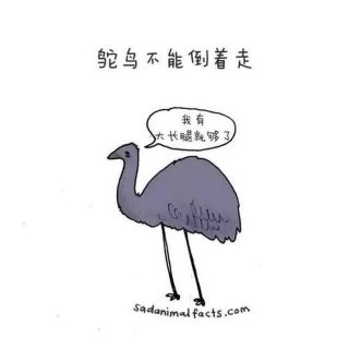 生活中的一些冷知识，100个被误解的常识