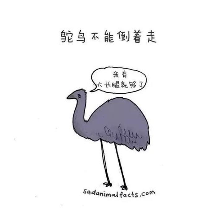 生活中的一些冷知识，100个被误解的常识