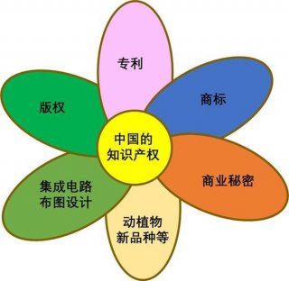 知识产权销售顾问好做吗，知识产权销售干了一个月