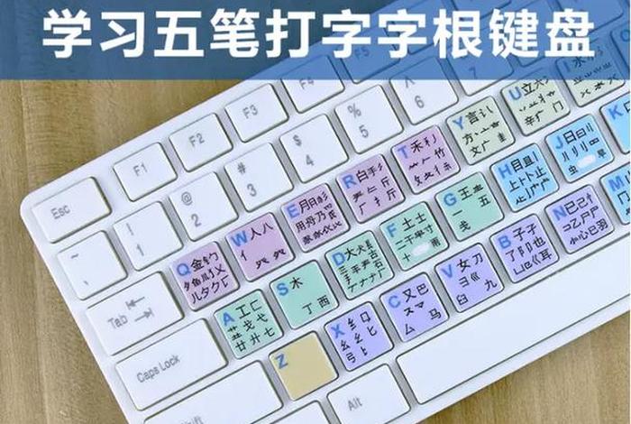 学习打字快速入门免费；学打字最快的方法软件下载