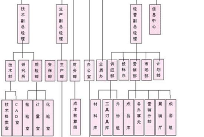 组织