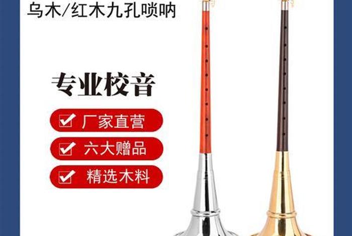 学唢呐学费多少钱 唢呐初学入门视频教程