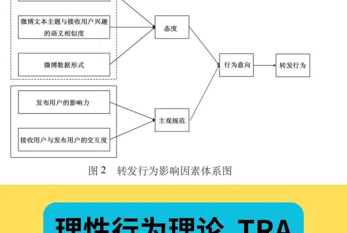 理论