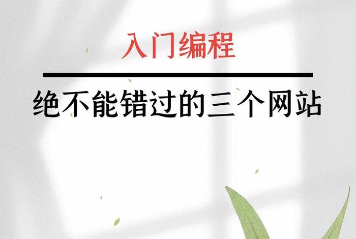电脑程序编程入门（电脑程序编程入门下载）