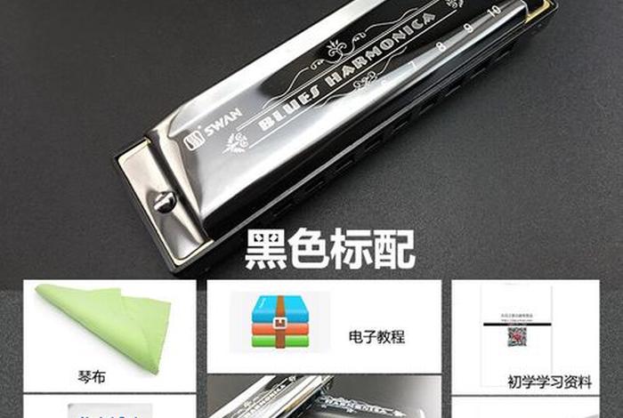 学习口琴买24孔还是10孔（口琴选10孔还是24孔）