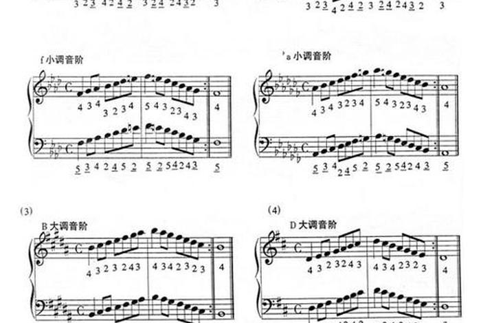 学习巴扬的正规教程，初学巴扬