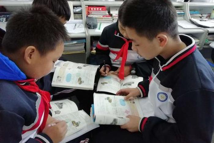 小组合作在数学课堂教学中的运用 - 小组合作在数学教学中的应用