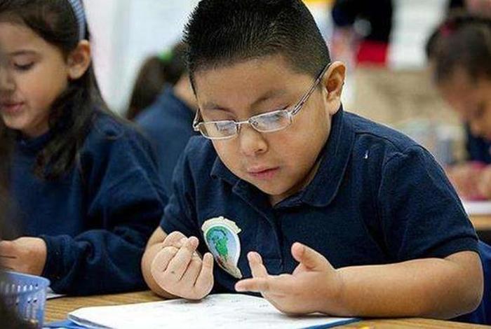智商偏高高二该如何去学习；智商高怎么办