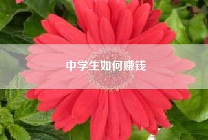 中学生如何快速赚钱 中学生如何快速赚钱简单真实