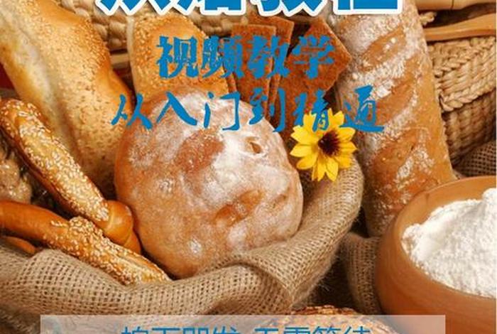 学习做蛋糕技术去哪里学（学做蛋糕糕点去哪里学）
