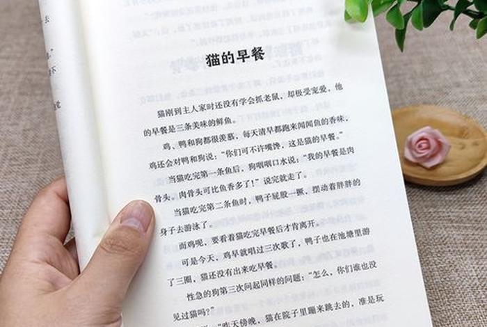 学习美文小说，美文阅读 小说