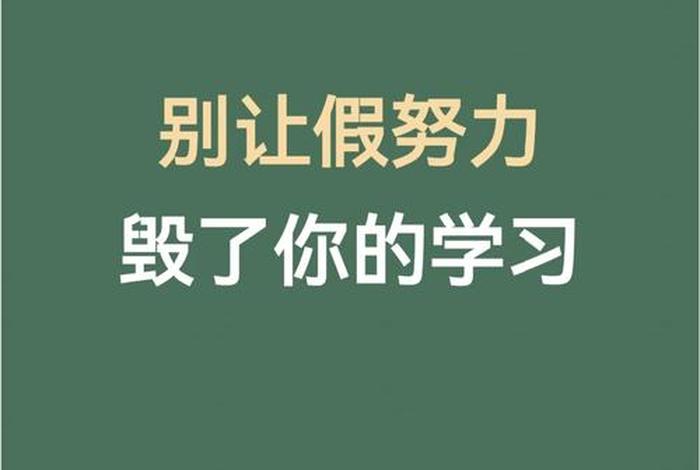 真学习假努力视频；真努力假勤奋