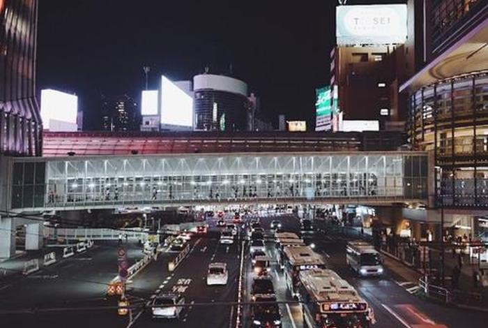 日本
