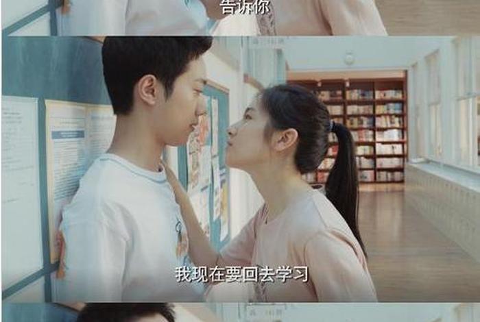 不要打扰我学习电视剧在线免费观看