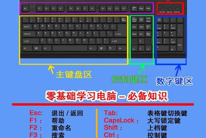 电脑基础学习软件，想学电脑基础知识下载哪个软件好 免费