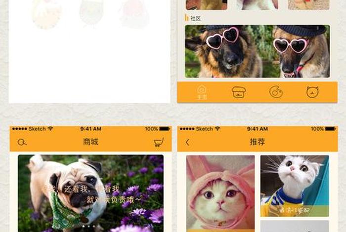宠物学习免费课程 - 宠物教学app