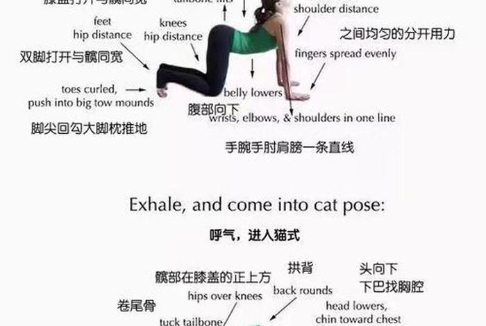 瑜伽学习指导从零开始练习瑜伽 - 瑜伽零基础教程