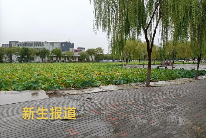 大一
