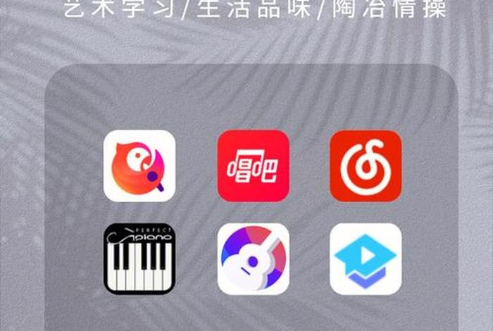 可以学唱歌的软件（可以学唱歌的软件免费下载）