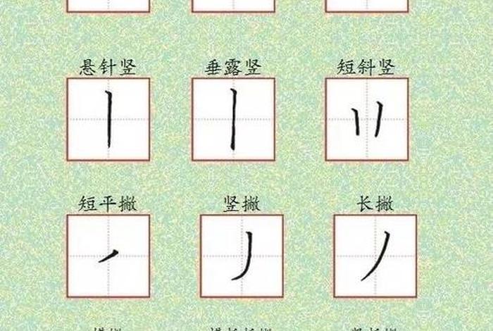 笔画的教程视频（笔画视频教学）