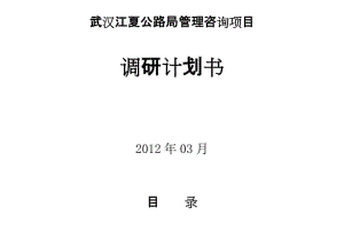 调研计划书（调研计划书模板范文）