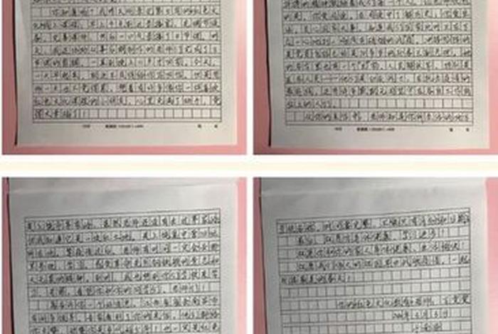 回信精神学习之我谈征文300字，回信精神的心得体会作文