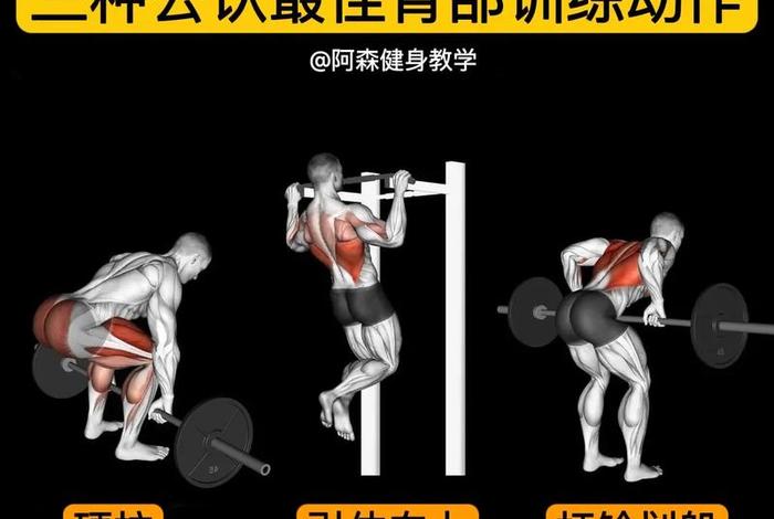 想学健身怎么入手（想学健身怎么入手呢）
