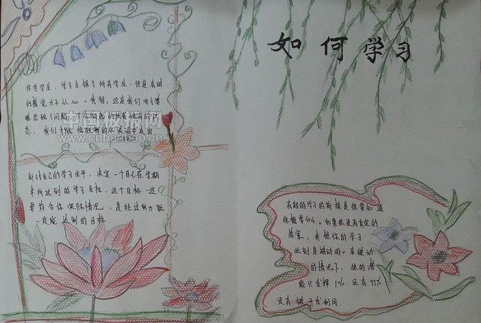 学习的手抄报初中；手抄报四年级