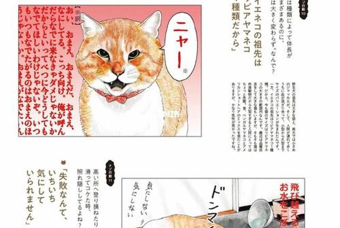 猫萌日语学习零基础 - 萌宠日语