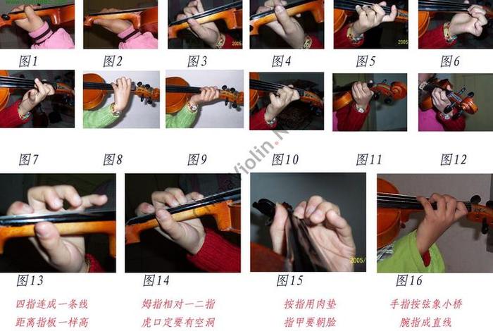 学小提琴的基础知识 学小提琴基本功