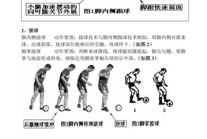 足球自学基础知识 - 足球自学教程