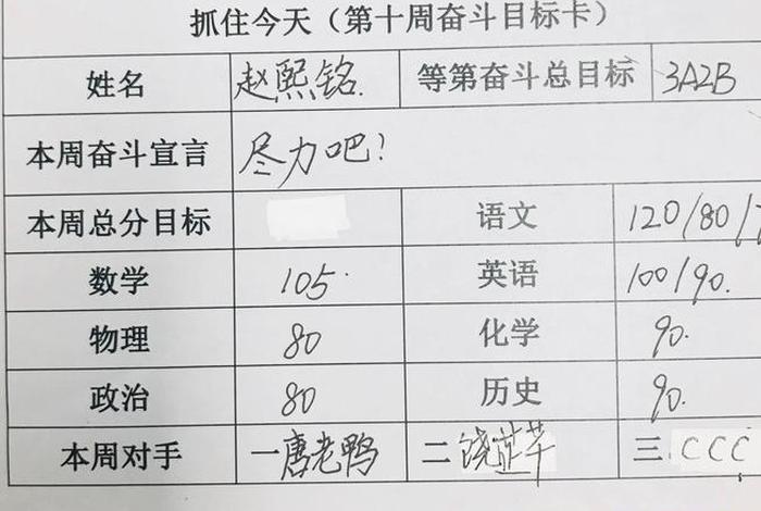 学生个人目标怎么写，学生个人目标怎么写高中