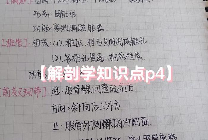 怎么学知识呢 怎么学这个知识