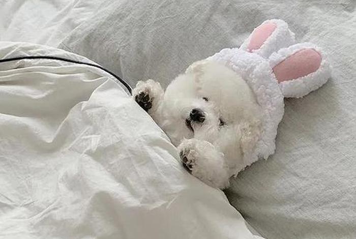 睡觉