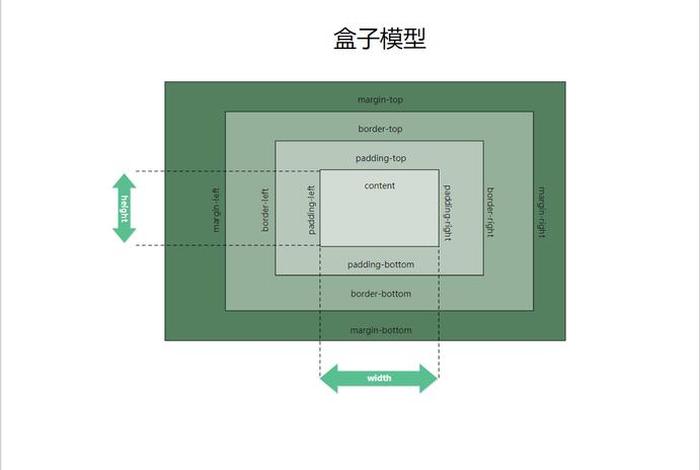 学模型有什么好处 想做模型应该学什么专业
