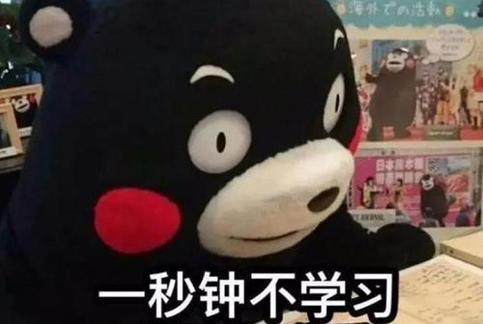 不学习怎么办顺口溜，我不学怎么办