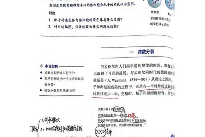 高中生物学习方法与技巧 高中生物该如何学