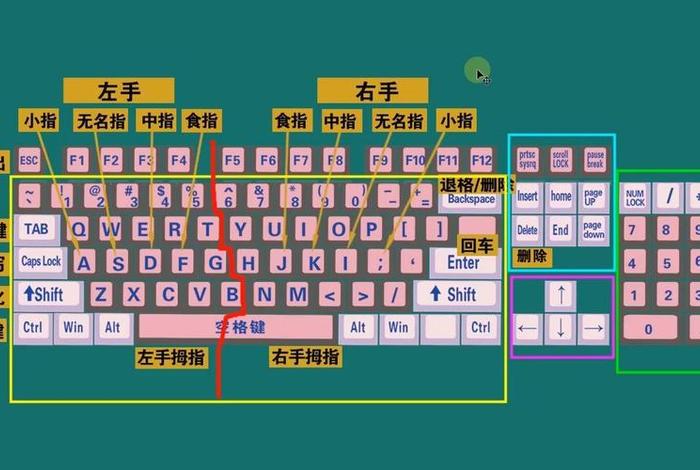 怎么学习电脑的基本操作 怎么学电脑基础操作视频