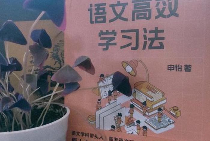 你认为学语文的规律有哪些（语文可以这样学）