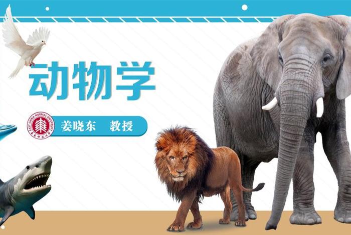 动物学习视频 - 动物视频教学