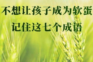 不枉学校栽培（不枉学校栽培的成语）