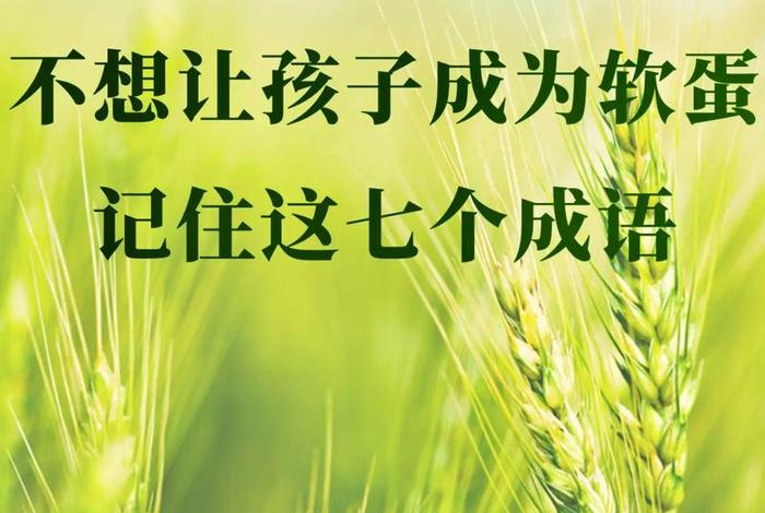不枉学校栽培（不枉学校栽培的成语）