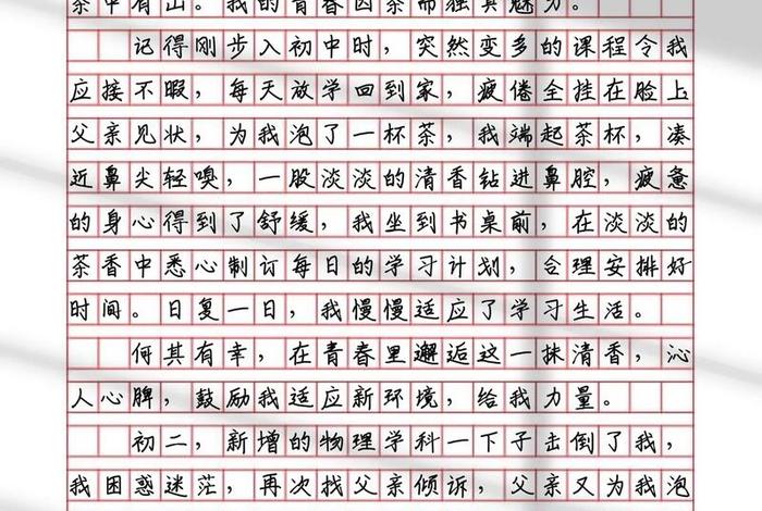 系统的学写作文，系统中的作文