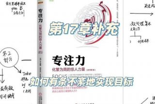 专注的力量、专注的力量500字