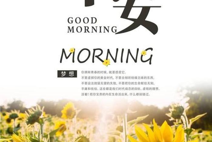 每天