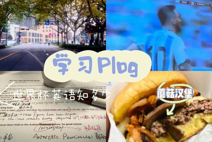 学习状态用英语怎么说