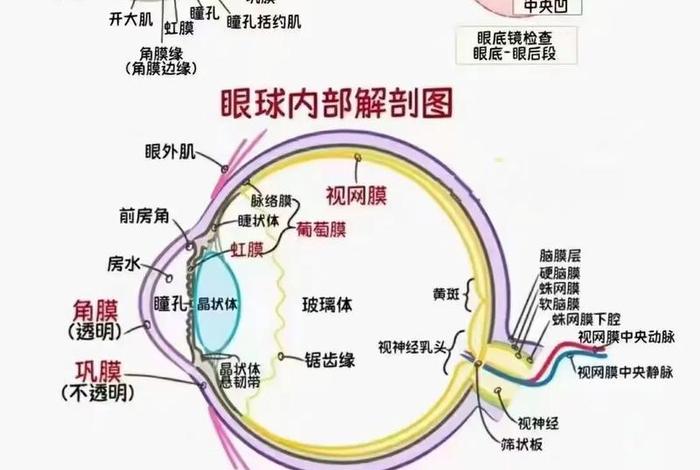 眼镜学视频教学 - 眼镜知识视频